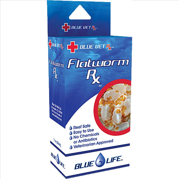 Flatworm Rx Blue life